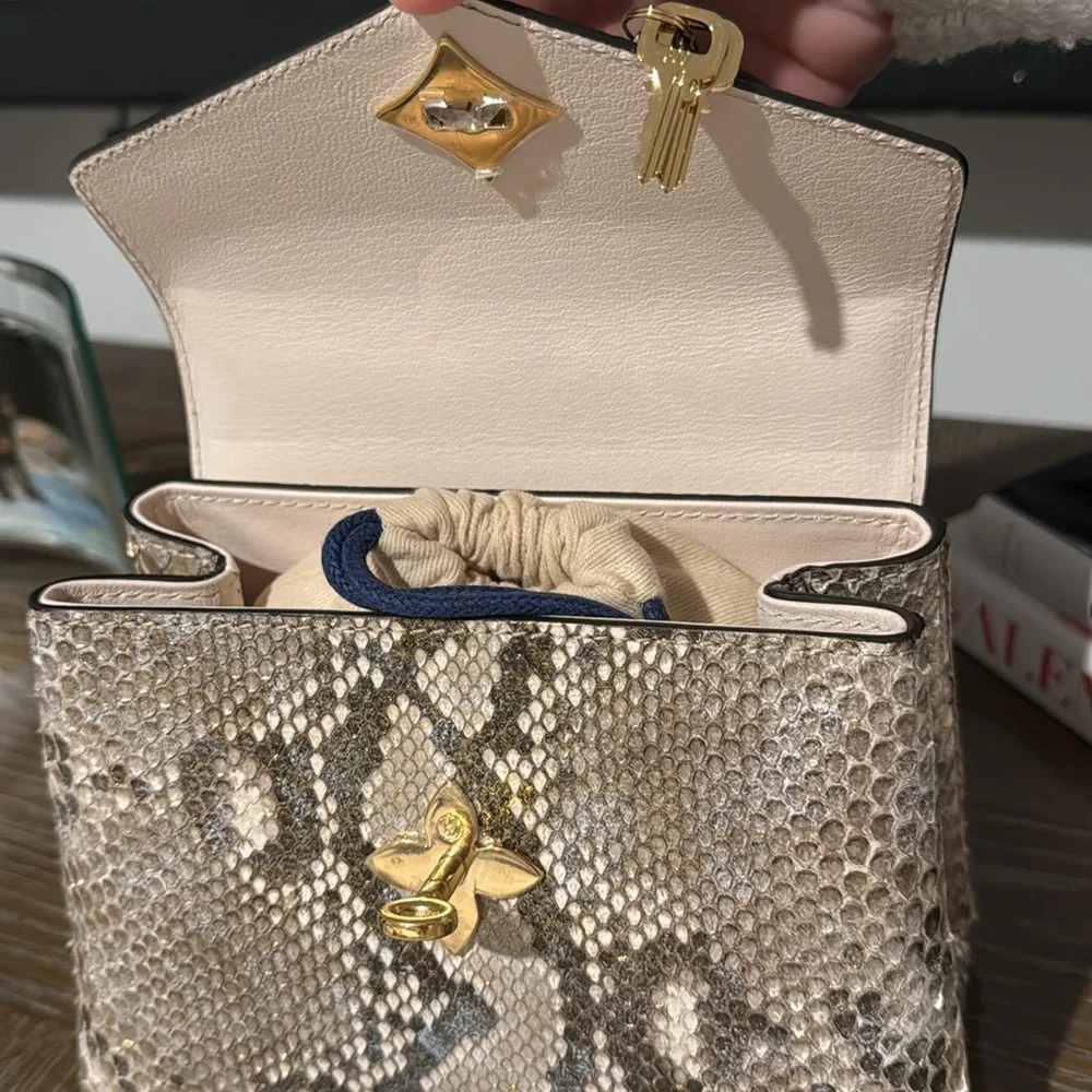 Louis Vuitton Exotic (python)collection - Picture 3 of 13